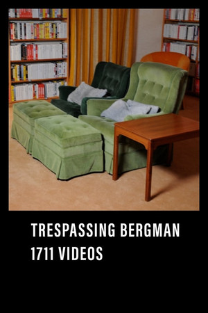 Bergmans video poszter