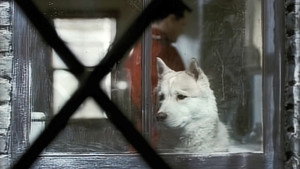Due South 1. évad Ep.15 15. epizód