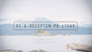 BS & recepten på lykke kép