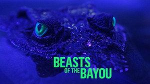 Beasts of the Bayou kép
