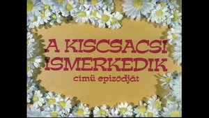 Mirr Murr a kandúr 1. évad Ep.1 A kiscsacsi ismerkedik