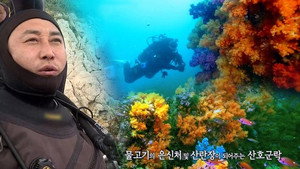 김병만의 정글의 법칙 1. évad Ep.448 448. epizód