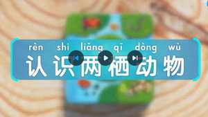 斑马百科 29. évad Ep.1 1. epizód