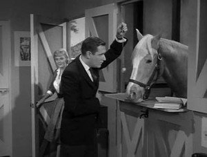 Mister Ed 1. évad Ep.16 16. epizód