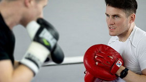 Stable: The Boxing Game kép