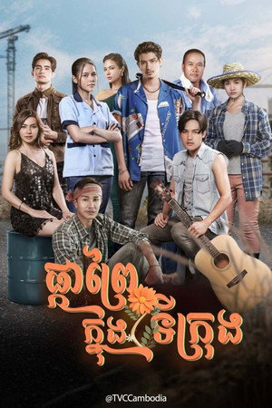 ดอกหญ้าป่าคอนกรีต poszter