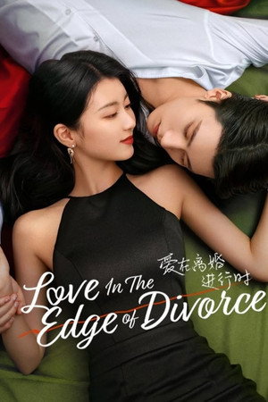 爱在离婚进行时 poszter