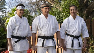 Cobra Kai kép