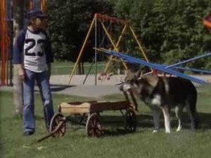The Littlest Hobo 4. évad Ep.18 18. epizód