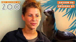 Une saison au zoo 6. évad Ep.7 7. epizód