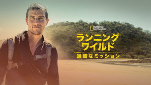 Bear Grylls - Sztárok a vadonban: A kihívás kép