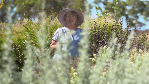 Gardening Australia 32. évad Ep.15 15. epizód