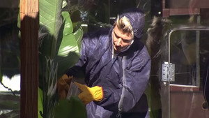 Big Brother 7. évad Ep.114 114. epizód