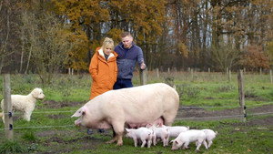 Onze boerderij 3. évad Ep.5 5. epizód