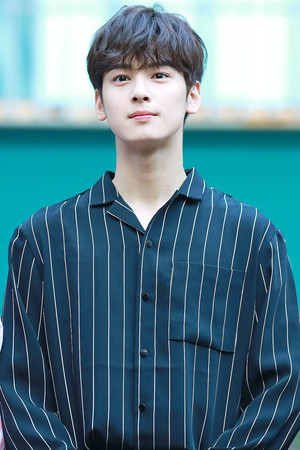 차은우 profil kép