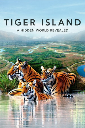 Tiger Island 1. évad (2026-06-07) poszter