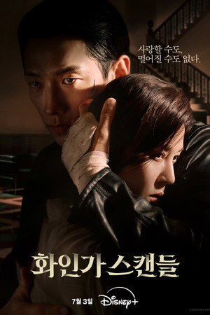 화인가 스캔들 poszter