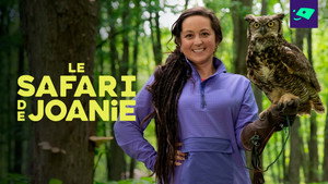 Le safari de Joanie kép