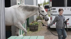Heartland 6. évad Ep.2 2. epizód