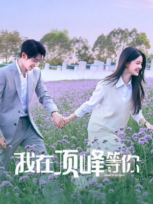 我在顶峰等你 poszter