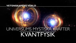 Vetenskapens värld 51. évad Ep.4 4. epizód