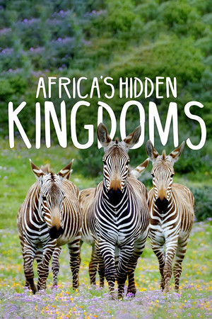 Afrika rejtett királyságai poszter