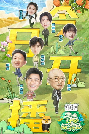 青春环游记 poszter