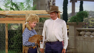 The Beverly Hillbillies 4. évad Ep.2 2. epizód