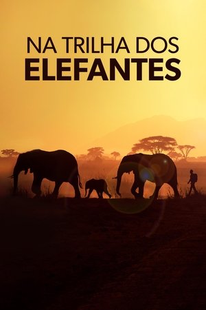 Walking with Elephants poszter