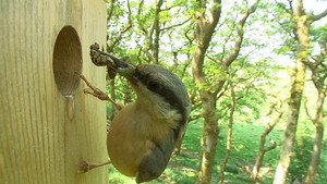 Springwatch 10. évad Ep.2 2. epizód