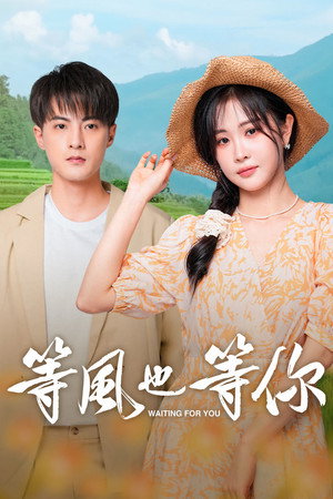 等风也等你 poszter