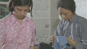 篱笆·女人和狗 kép
