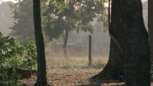 The Walking Dead kép