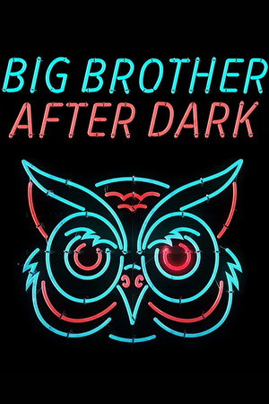 Big Brother After Dark poszter