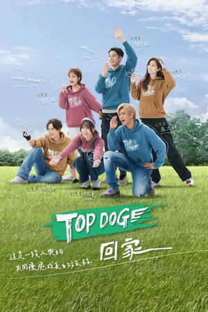 TOP DOG poszter