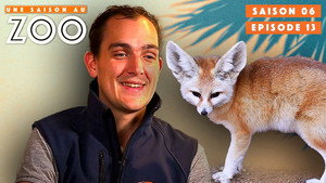 Une saison au zoo 6. évad Ep.13 13. epizód