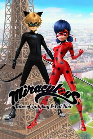 Miraculous Katicabogár és Fekete Macska kalandjai poszter