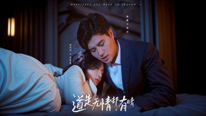 道是无情却有晴 kép