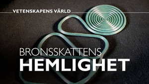 Vetenskapens värld 49. évad Ep.6 6. epizód