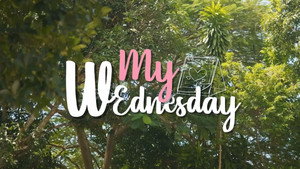 My Wednesday kép