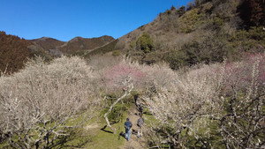 小さな旅 4. évad Ep.565 565. epizód