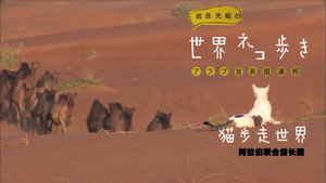 岩合光昭の世界ネコ歩き 1. évad Ep.55 55. epizód