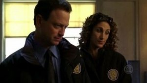 CSI: New York-i helyszínelők 1. évad Ep.11 Triálda