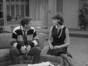 The Dick Van Dyke Show 5. évad Ep.15 15. epizód