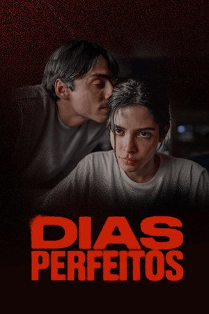 Dias Perfeitos poszter