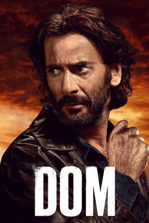 DOM poszter