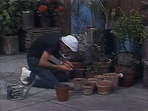 El Chavo del Ocho 6. évad Ep.9 9. epizód