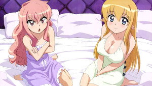 ゼロの使い魔 kép