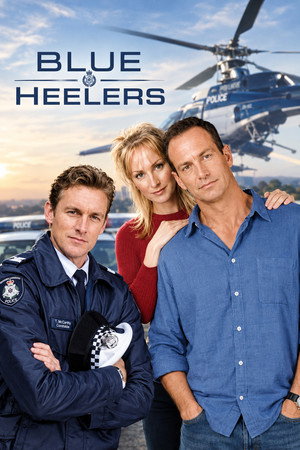 Blue Heelers poszter