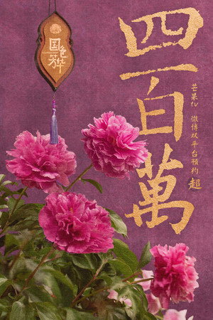国色芳华 poszter